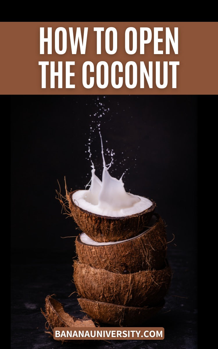 How to open the coconut